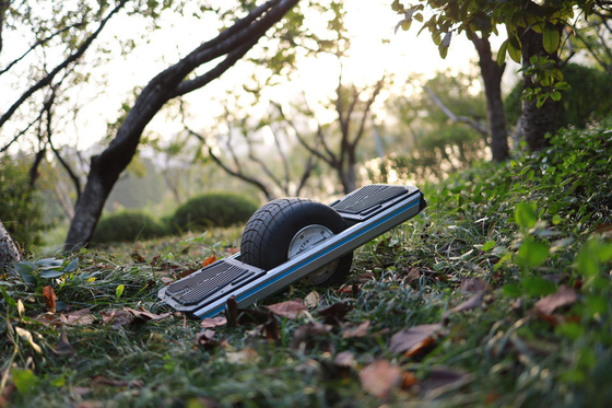 11 Inch 700w Smart Electric Skateboard With One Tire