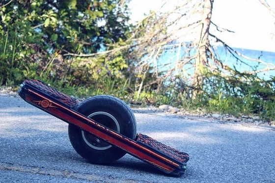 10.5Ah 700W One Wheel Manual Skateboard With Guard Rail