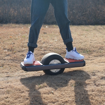 SGS 7Ah 1000W Skateboard Thing With One Wheel With Sparkle Lights